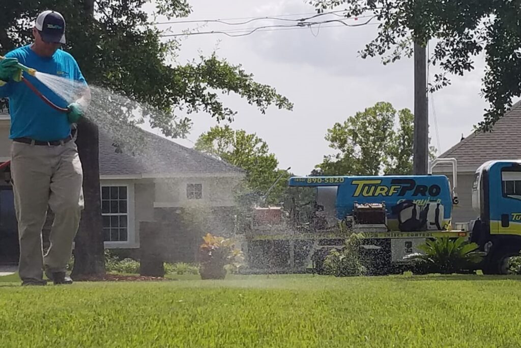 Florida Pest Control Panama City Beach Expert Solutions